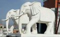 石雕大象適合擺放在哪里？